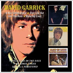 David Garrick A Boy Called David / Don't Go Out… (2CD)