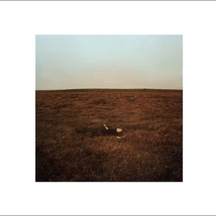 Fink The City Coming To Erase It All (CD)