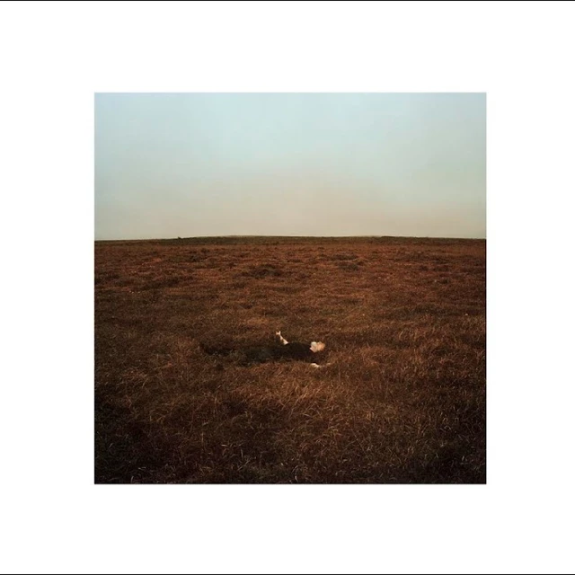 Fink The City Coming To Erase It All (CD) 