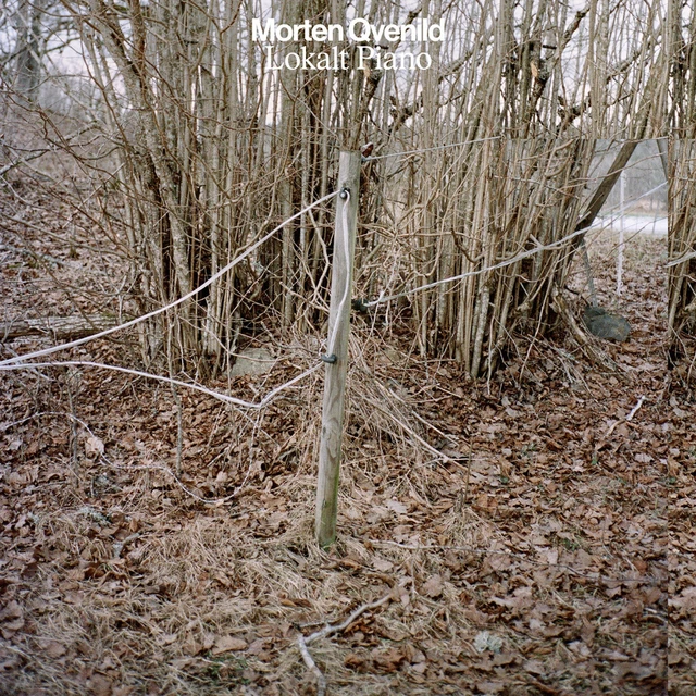 Morten Qvenlid Lokalt Piano - LTD (LP) 