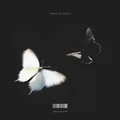 Chase Atlantic Dalliance - LTD (LP)