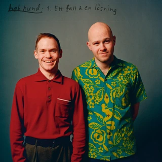 Bob Hund Ett Fall &amp; En Lösning (12")