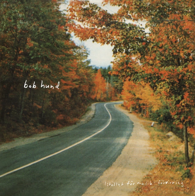 Bob Hund Istället För Musik: Förvirring (12") 