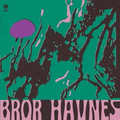 Bror Havnes De Som Vet - LTD (LP)