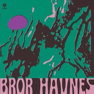 Bror Havnes De Som Vet - LTD (LP)