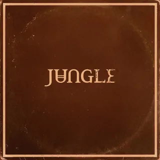 Jungle Sunshine (CD)
