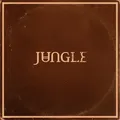 Jungle Sunshine - LTD (LP)