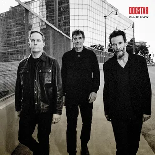 Dogstar All In Now (LP)