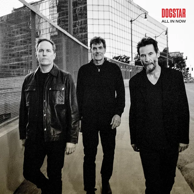 Dogstar All In Now - LTD (LP) 