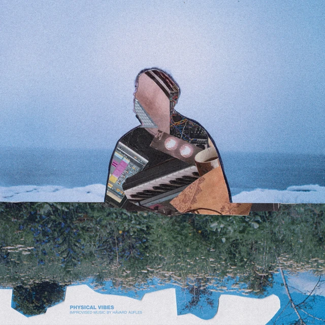 Håvard Aufles Physical Vibes (LP) 