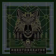 Needtobreathe Live From The Woods Vol. 2 (2LP)