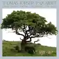 Thomas Torstrup Quartet Valagascar (LP)
