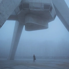 I'm Kingfisher Give Up Together - LTD (LP)