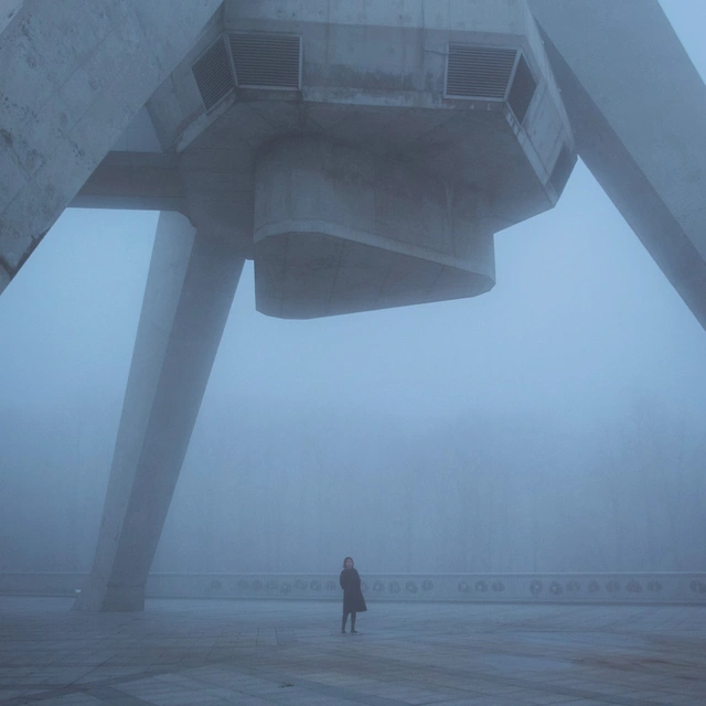 I'm Kingfisher Give Up Together - LTD (LP) 