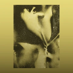 Flying Lotus 1983 - RSD (LP)