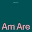 Bugge Wesseltoft Am Are (LP)