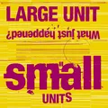 Large Unit Small Units: What Just Happened? (CD)