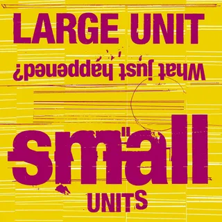 Large Unit Small Units: What Just Happened? (CD)