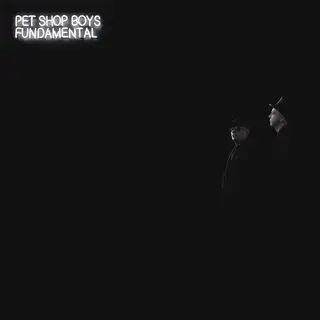 Pet Shop Boys Fundamental (CD)