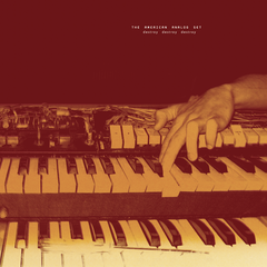 The American Analog Set Destroy Destroy Destroy - LTD (6LP)
