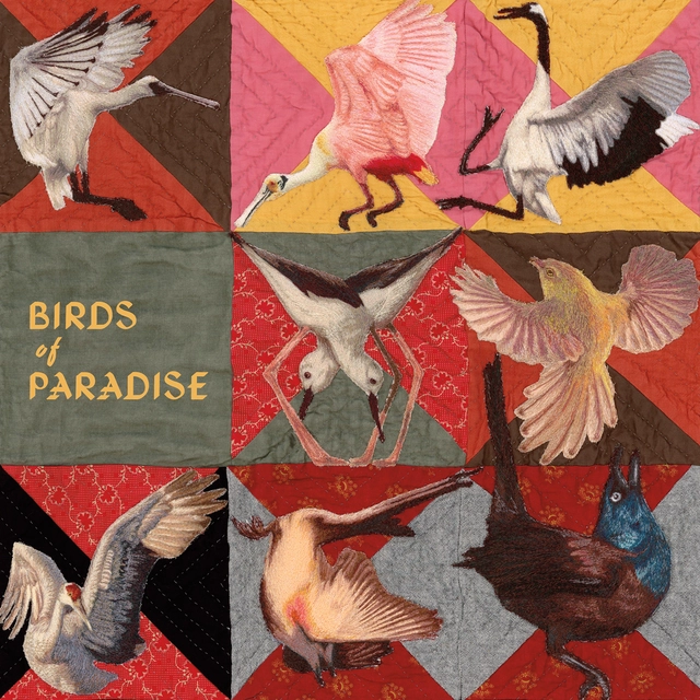 Thomas Dollbaum Birds Of Paradise - LTD (LP) 