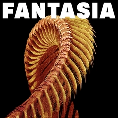 Slift Fantasia - LTD (2LP)