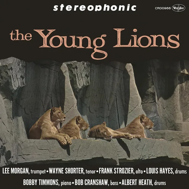 The Young Lions The Young Lions - LTD (LP) 