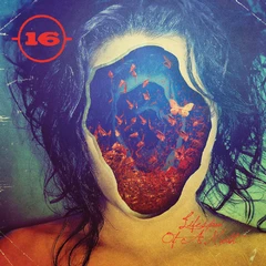 16 Lifespan Of A Moth (LP)