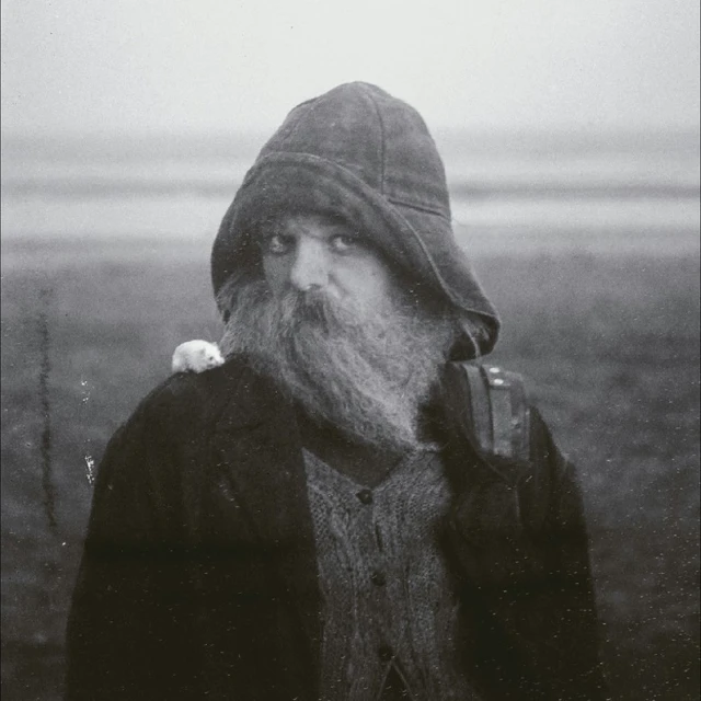 Mary In The Junkyard Role Model Hermit (LP) 