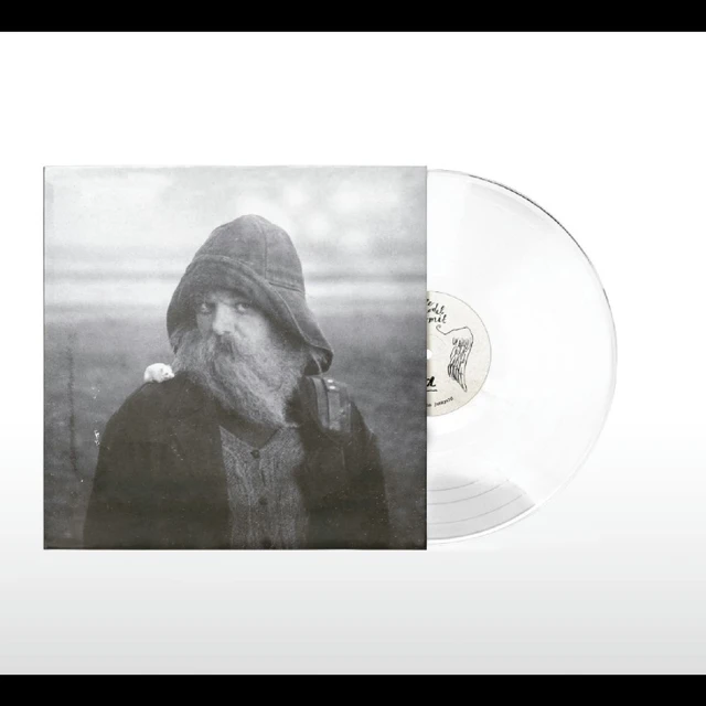 Mary In The Junkyard Role Model Hermit - LTD (LP) 