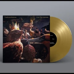 Trashcan Sinatras Ever The Optimist - LTD (LP)