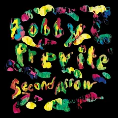 Bobby Previte Second Arrow (LP)