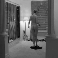 Whirr Distressor - LTD (LP)