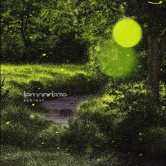 Lemondaze Subtext - LTD (12")