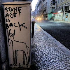 Caleb Nichols Stone Age Is Back (CD)