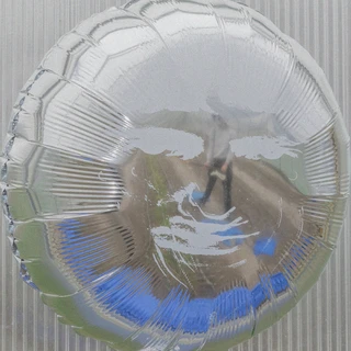 Dari Bay Surprise Wish (CD)