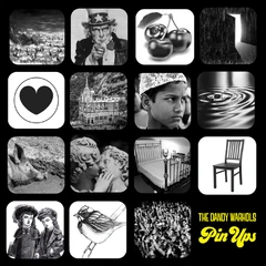 The Dandy Warhols Pin Ups (2LP)