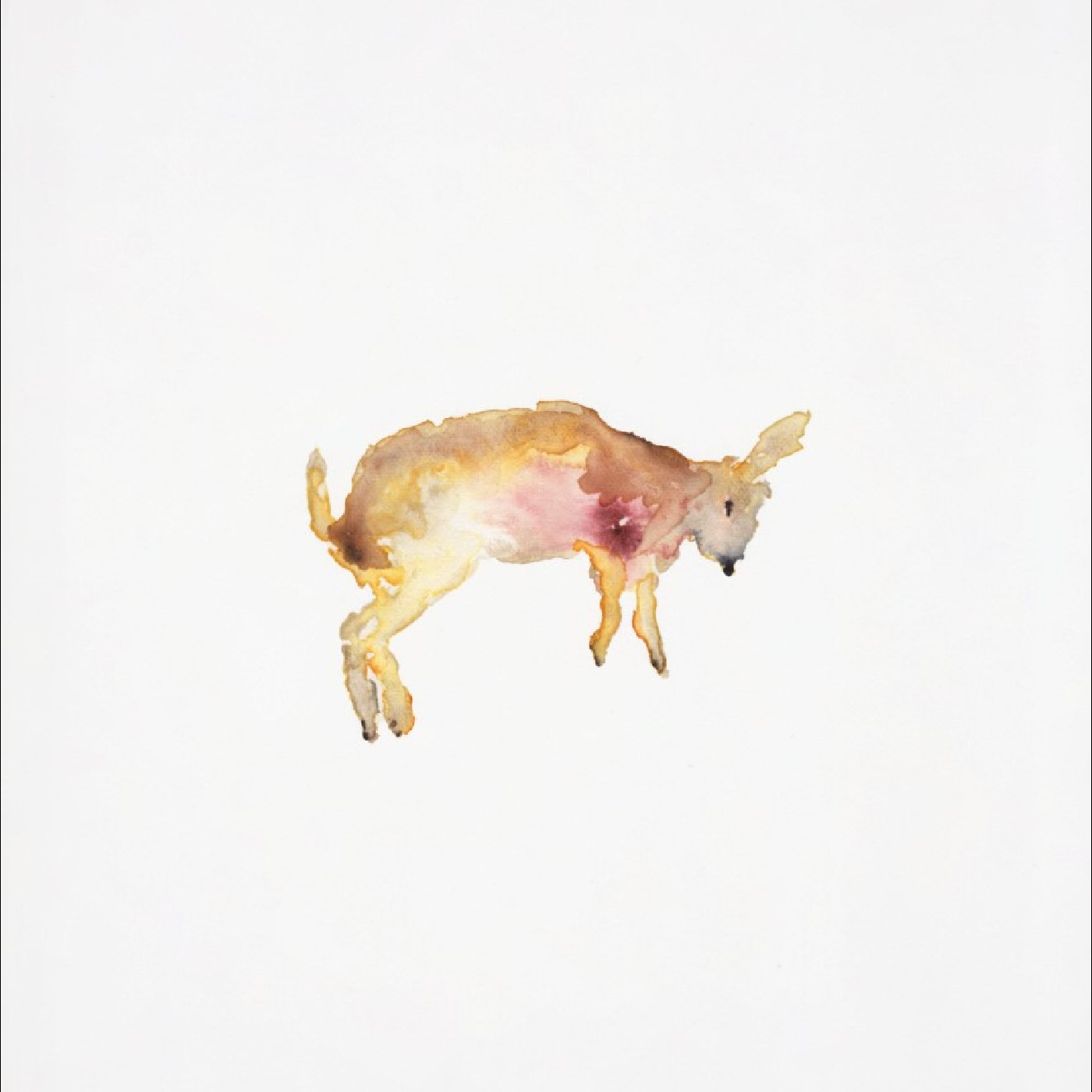 Charbel Haber May A Soft Sun Bless Your Sky… (LP)