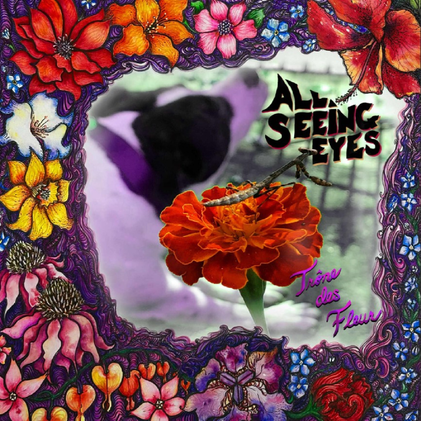 All-Seeing Eyes Trône Des Fleur (LP)