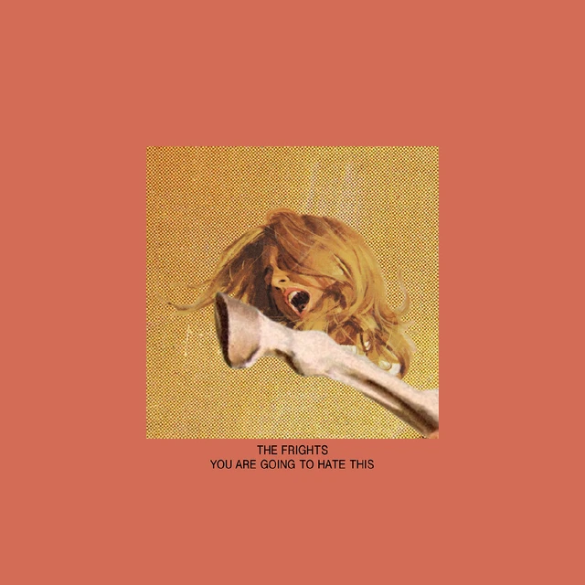 The Frights You Are Going To Hate This - LTD (LP) 