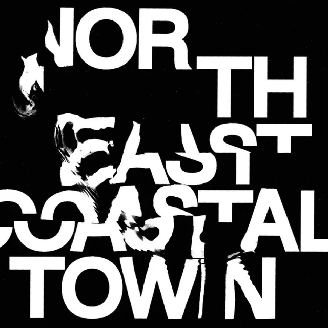 Life North East Coastal Town - LTD (LP) 