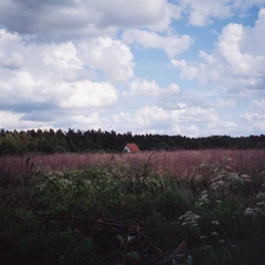 Kris Tiner &amp; Cathlene Pineda Sung (LP)