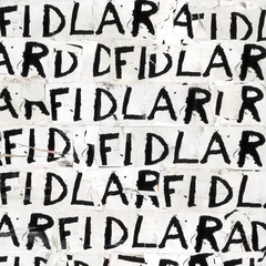 Fidlar Fidlar - LTD (LP)