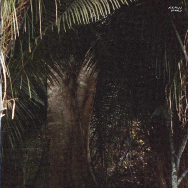 Acid Pauli Urwald (12") 