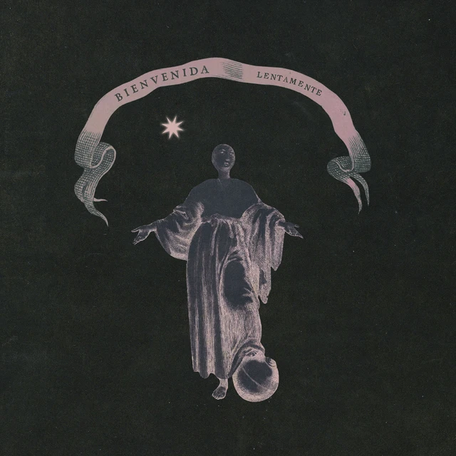 Lentamente Bienvenida - LTD (LP) 