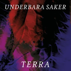 Terra Underbara Saker (CD)