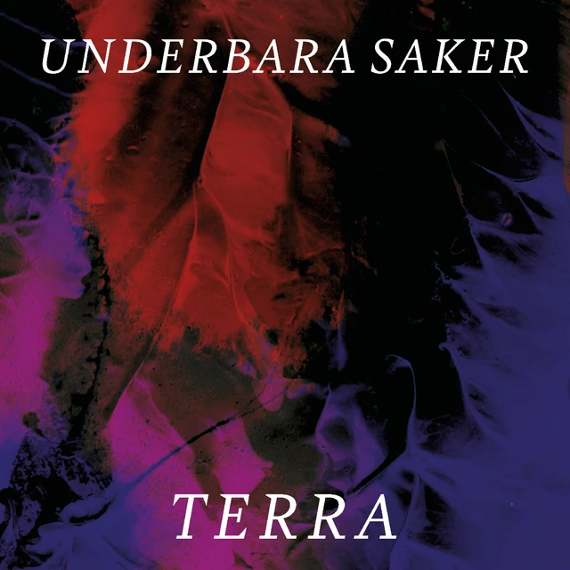 Terra Underbara Saker (CD) 