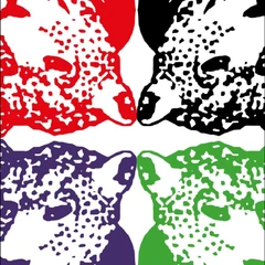Tiger &amp; Woods Through The Green (2LP)