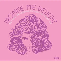 Diverse Artister Promise Me Delight - Italo Disco… (LP)