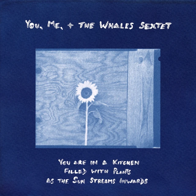 You, Me + The Whales Sextet You Are In A Kitchen Filled With… (LP) 